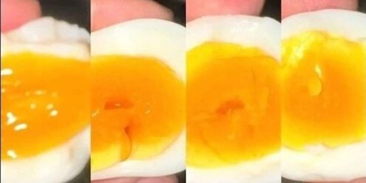 有人仅因为把煮鸡蛋的时间火候掌握到极致，一夜爆红涨粉百万