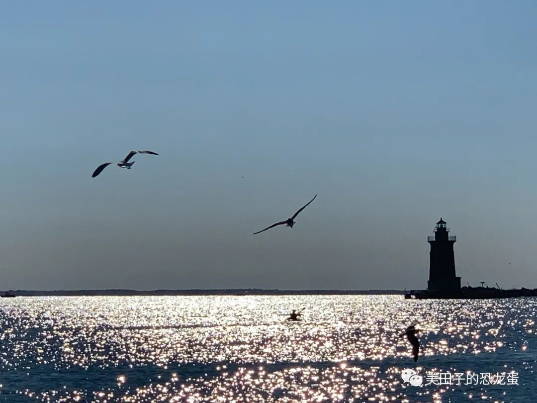 《笼中窥梦》背后的故事