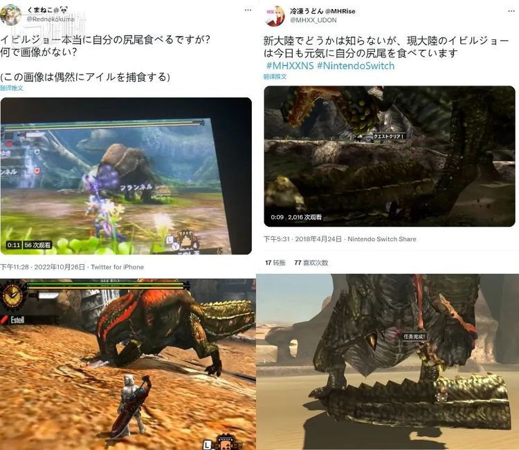 啃猎人、啃随从猫、啃其他怪物的尸体，就是没在啃尾巴