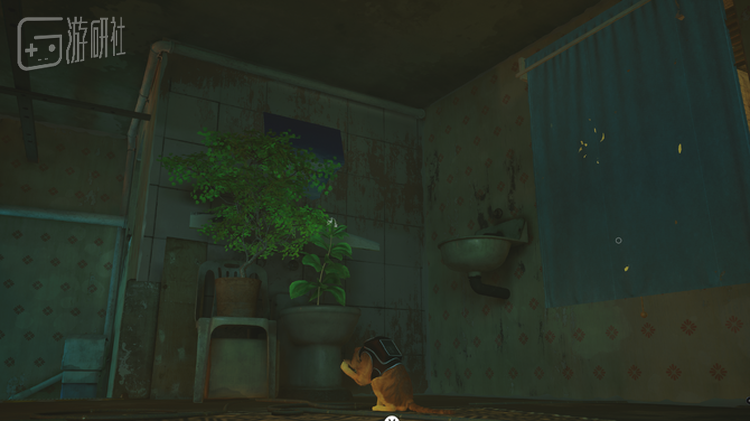 虽然小猫并不能使用它