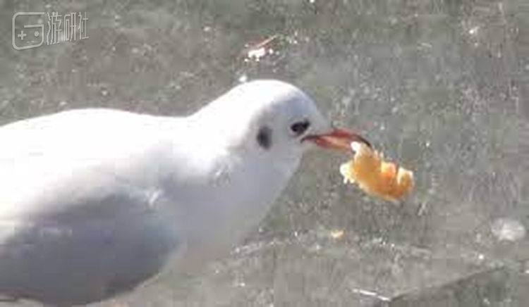 不吃薯条的