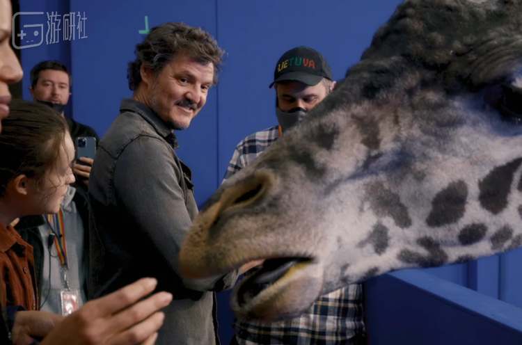 真实所带来的误会