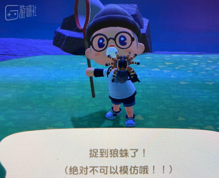 或许在夜晚更容易遇到拿着捕虫网的人