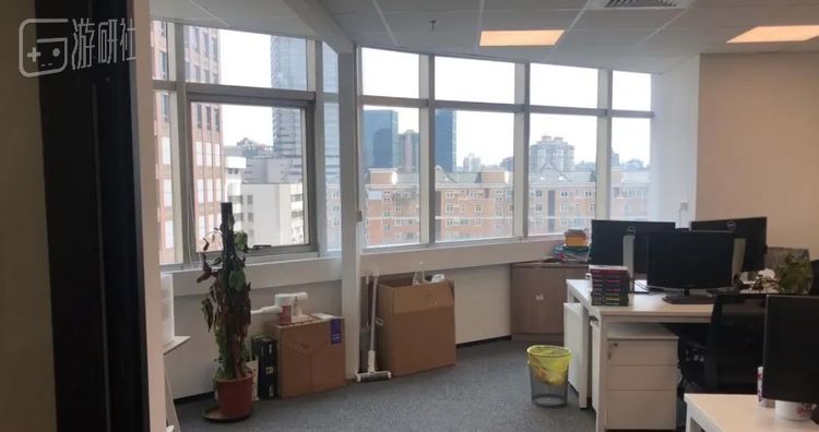 期间工作室无人照料的一棵盆栽树枯死了