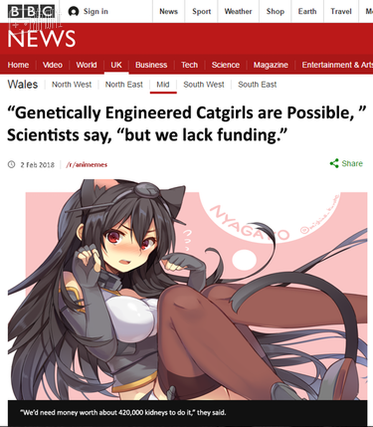假新闻：“基因工程造出猫娘是可行的，但是缺少经费”