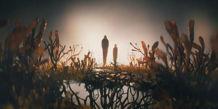 用真菌雕刻《最后生还者》，她站上了艾美奖的领奖台