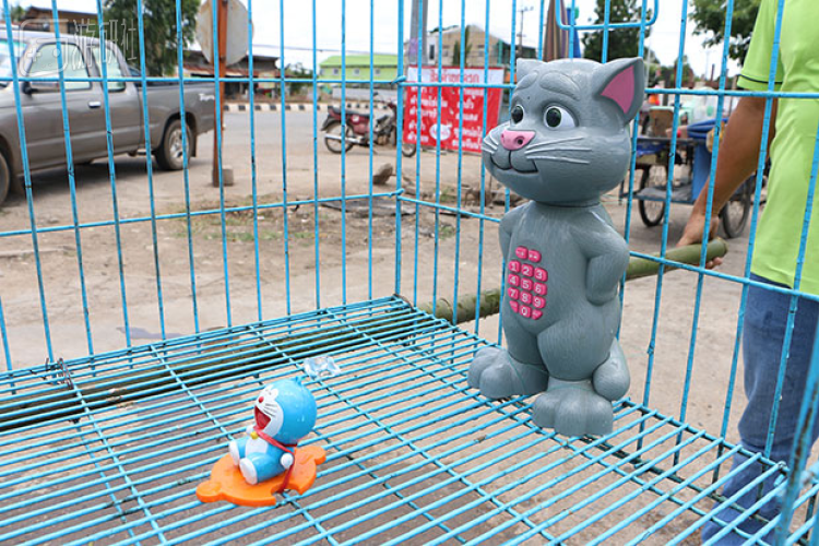 因为不想虐猫，泰国人把哆啦A梦祭天了 13%title%