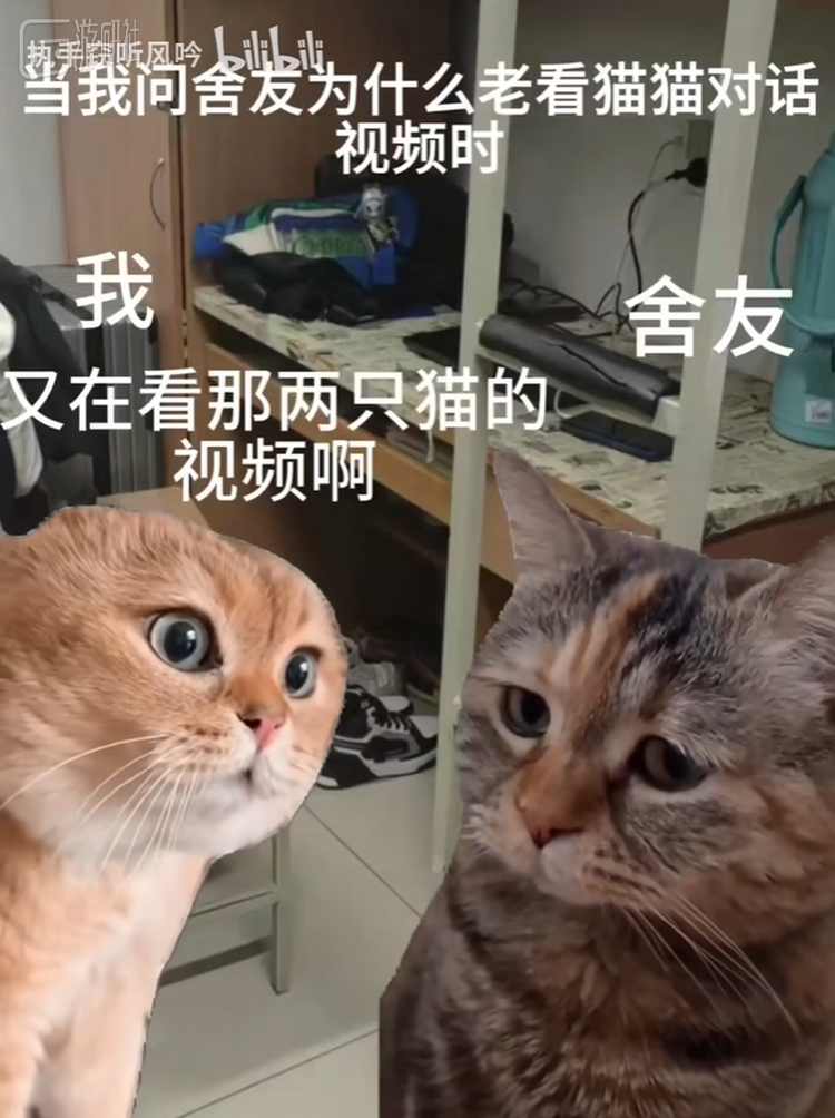 图源B站@执手窃听风云