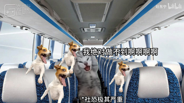 图源B站@灶东宁