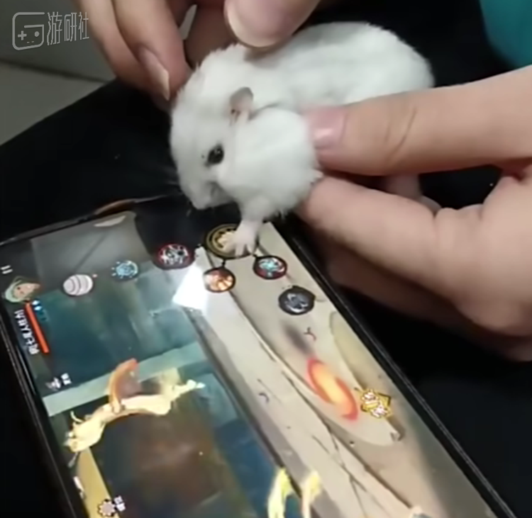 传说中的“有手就行”角色