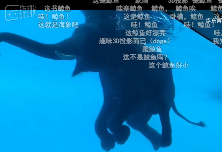 “如果你看见了在水里游泳的大象，请假装那就是鲸鱼”