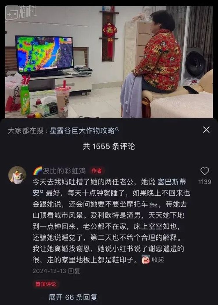 《星露谷择夫指南》