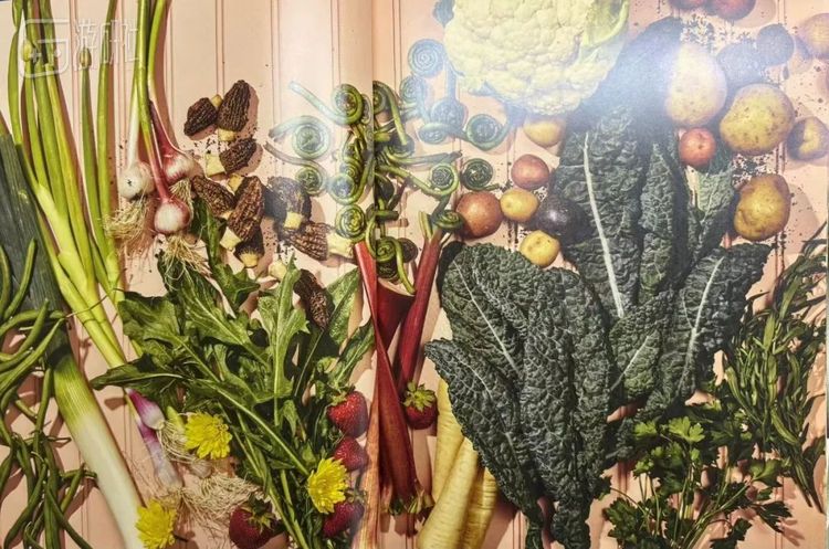 不得不说，像素还是很写实的，一看到这张照片，你就能很快地认出在游戏里第一次采集到的野菜：蒲公英、韭葱或是羊肚菌