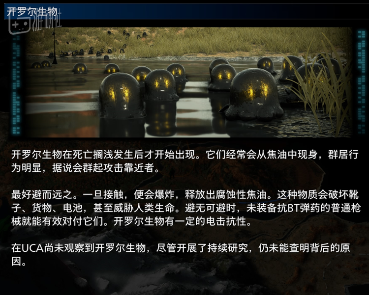 开罗尔生物
