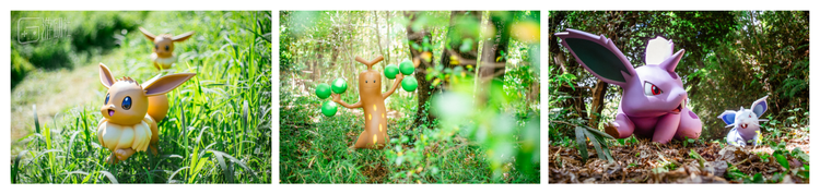 众多宝可梦栖息的自然“森林”——宝可梦森林