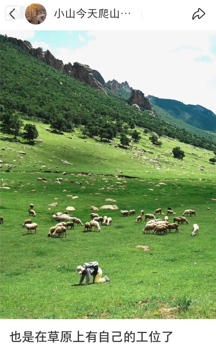 @小山今天爬山了吗