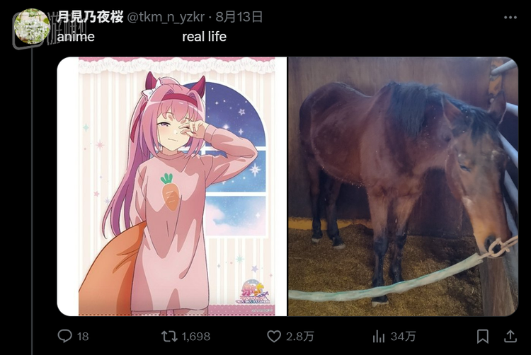 在驯养师和粉丝的陪伴下，春乌菈菈的晚年并不孤独