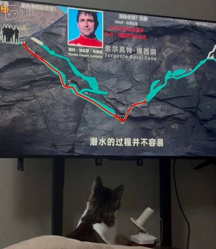 比如很神秘地跑去看一期神秘园