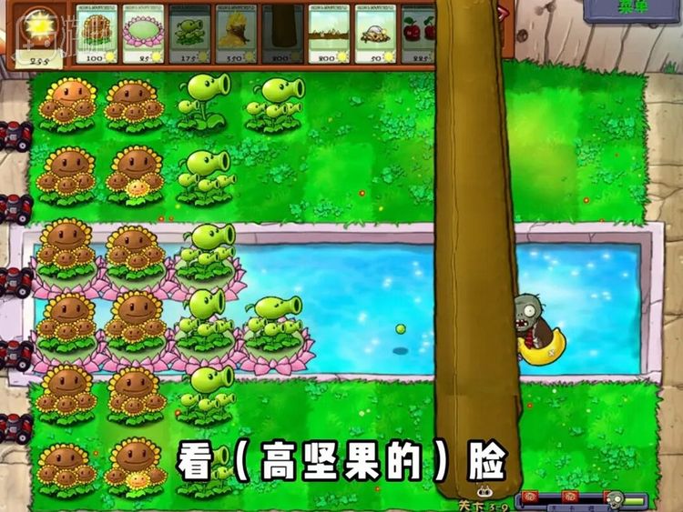 各种魔改《植物大战僵尸》已经成为任堂每天中午直播的固定项目之一，因为不玩就会被粉丝抱怨“没菜下饭”