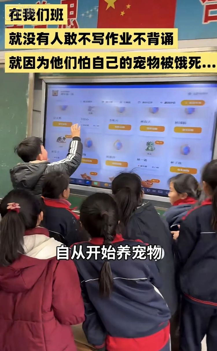 @咿呀老师的小宇宙