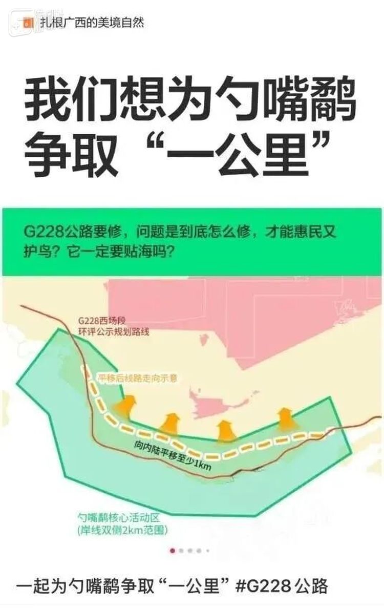 前段时间，观鸟爱好者比较关注的事件，正是公路建设对滩涂上生活的极危鸟类勺嘴鹬可能带来的危害