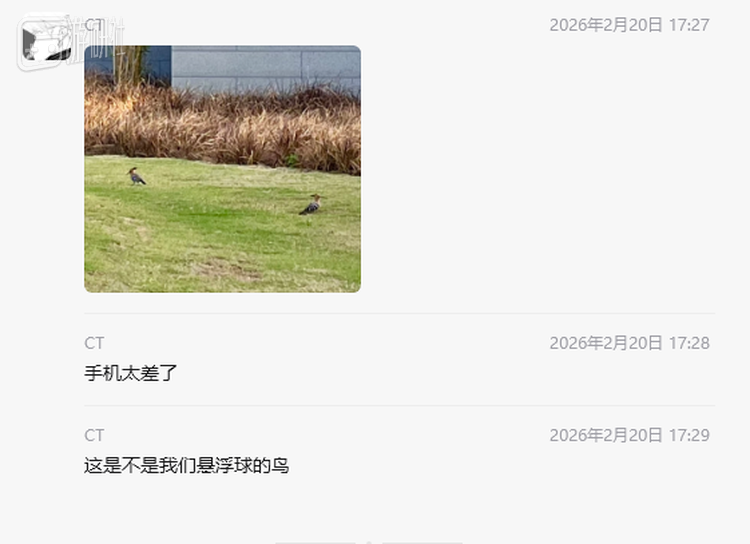 是的这是戴胜