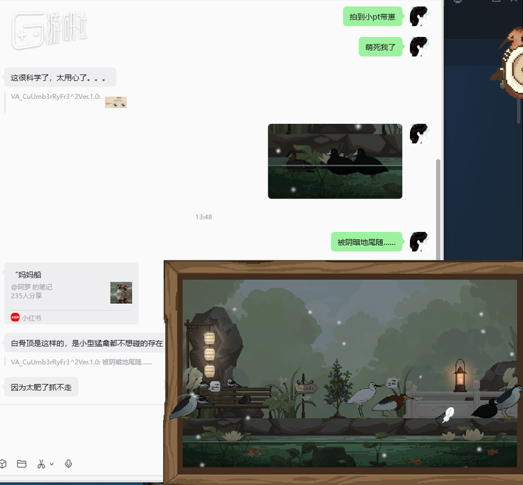 第一时间找到鸟友疯狂甩图并交换观鸟心得