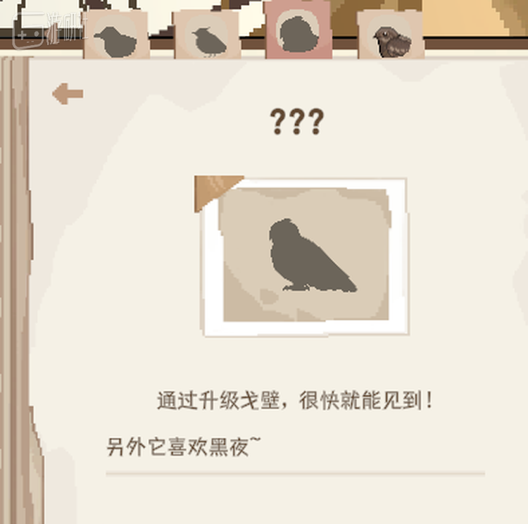 夜行性的鸮科或是夜鹰，只会在黑夜到来