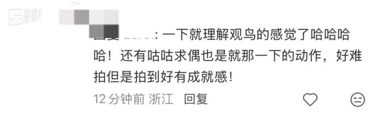 这让没有线下观鸟经历的玩家，也能体会到类似的成就感