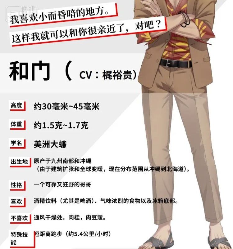 顺便为南方的朋友附上“异域帅哥”美洲大蠊的资料