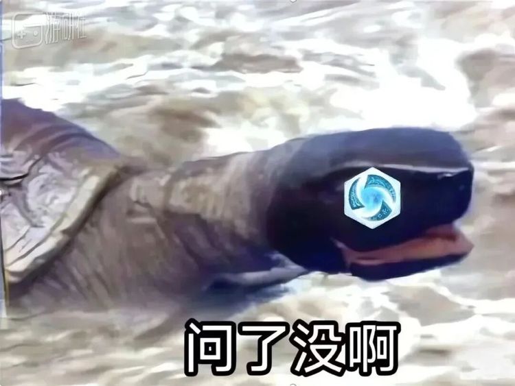 问了真有用？