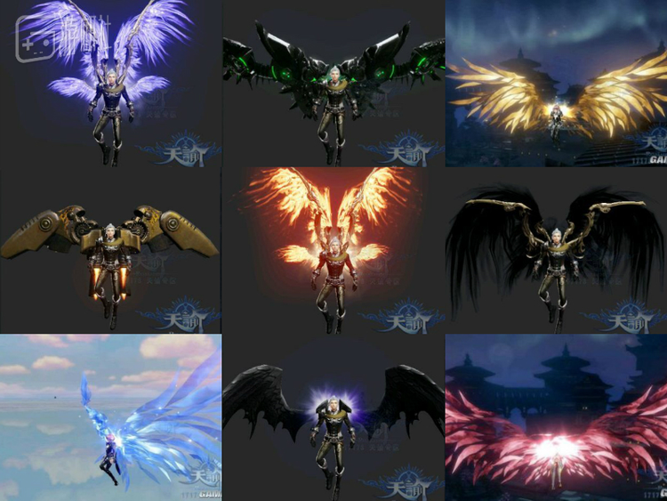 天谕这款游戏中，翅膀的具体数量恐怕只有策划知道吧