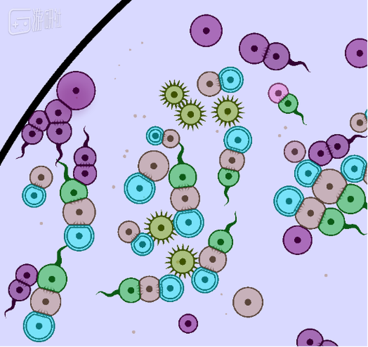 图中头部带有角质细胞显然不惧怕devorocyte