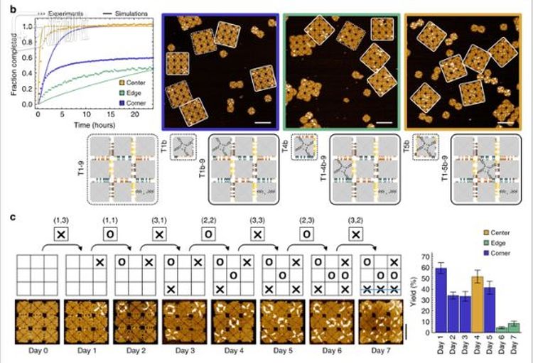 众所周知，井字棋是一款简单的游戏！