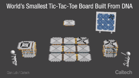 看上去你来我往，实际上下一步天都黑了