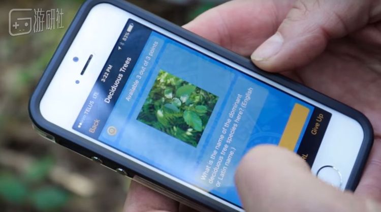 学生需要拍下植物的照片，和游戏给出的线索进行对照