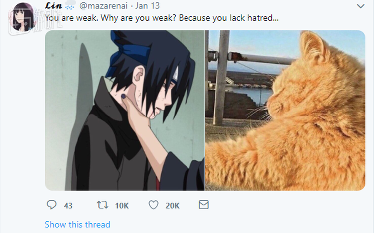 第一个对佐助伸出毒爪的是“橘黄色的小猫”