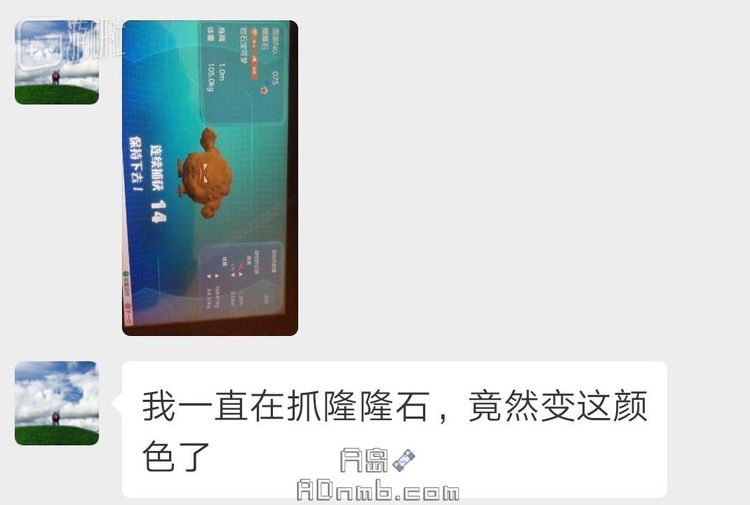 图片来自A岛论坛