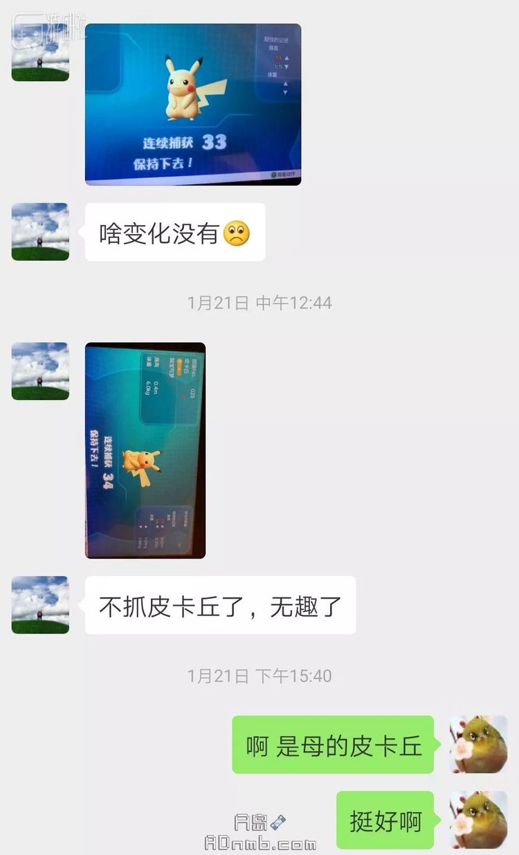 捕捉多次却没有变化的皮卡丘自然被无情抛弃