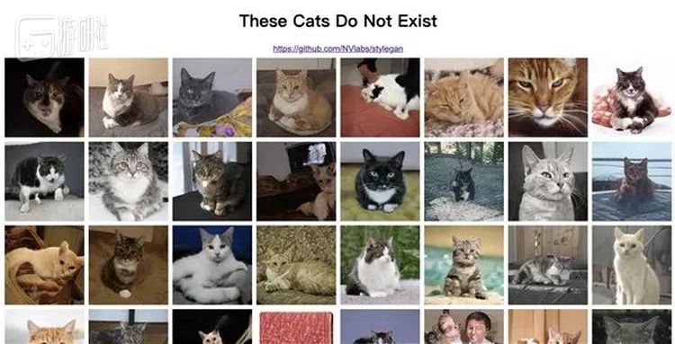 不存在的猫咪们