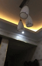 来源：陈震同学@新浪微博。微博原文：“听说四川地震了，但朋友圈里看到了这个场景，四川的同学们，你们这反应也太……”