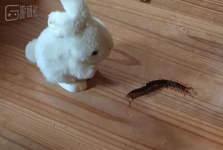 豊井的朋友nyalra在和他聊天的过程中闯入的蜈蚣