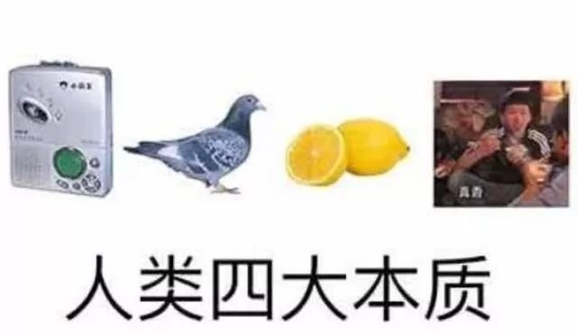 复读机、鸽子精、柠檬精、真香怪如今并称人类四大本质 复读机、鸽子精、柠檬精、真香怪如今并称人类四大本质