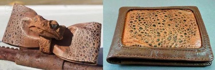 蟾蜍领结和蟾蜍钱包