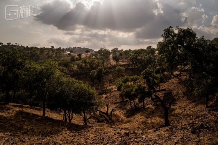 被山羊吃秃的易燃山区，图片By纽约时报