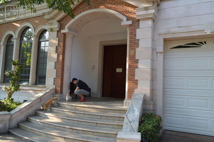 Martin蹲在门口喂猫