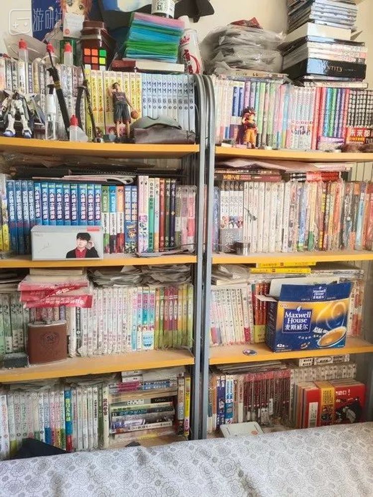 表哥的其中一个书架，已经不复往日盛景