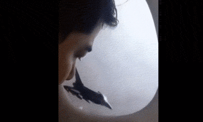 梗和梗几乎可以互换