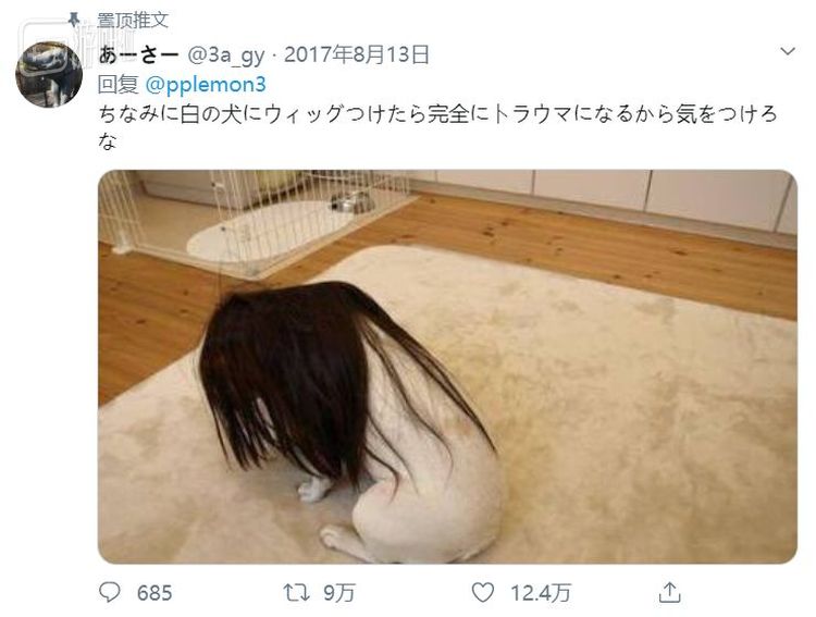 “提醒一下，请不要对白色的狗做这样的事，否则会引发心理阴影。”