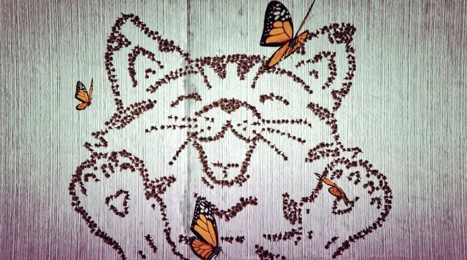 @opolchennyy @opolchennyy